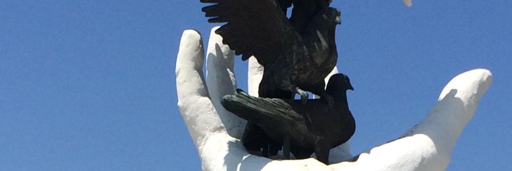 ayysem's profile banner image