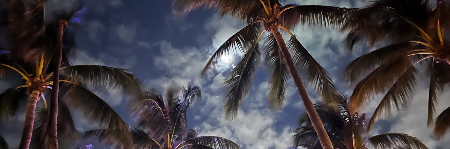 GimmeSomeJimmy's profile banner image