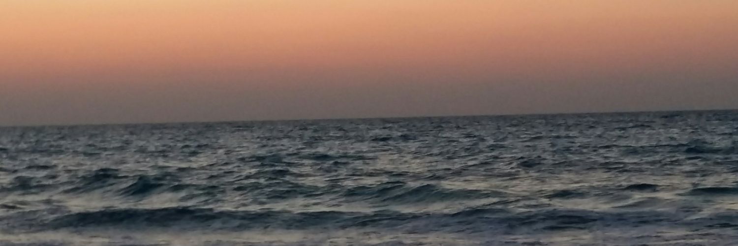 AliiaaAtef's profile banner image