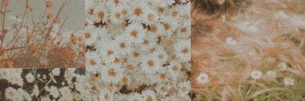 amerh3332's profile banner image