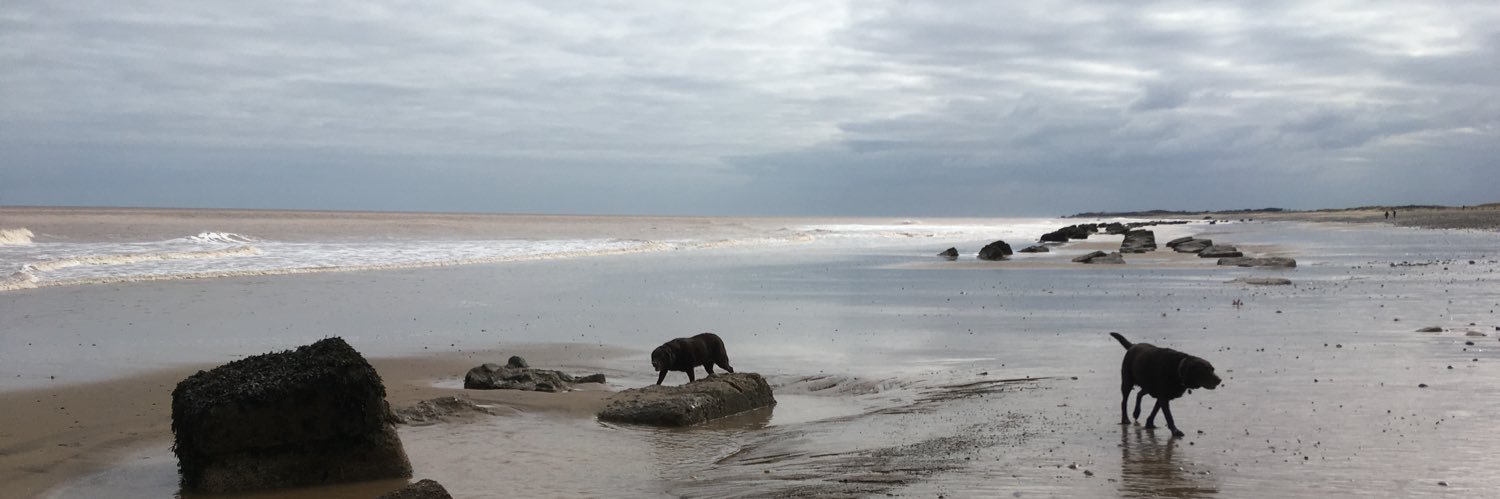 Colin Bushell 🇪🇺🪶📻⚽️🚲 banner