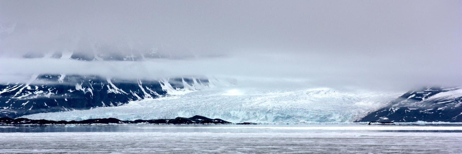LifeArctic's profile banner image