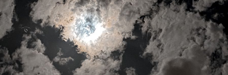 98__98_'s profile banner image