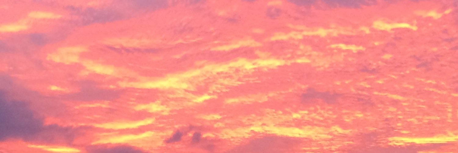 JillyG's profile banner image