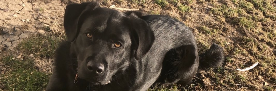 Campbellchels24's profile banner image