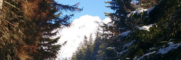 toomuchaltitude Profile Banner