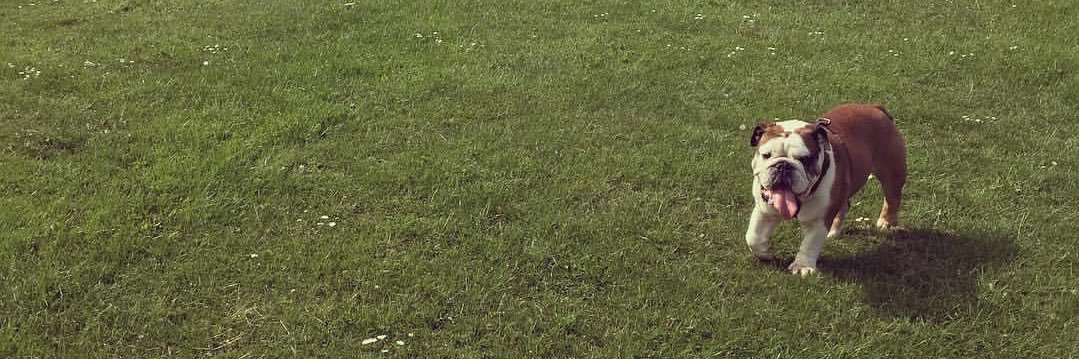 jo_l94's profile banner image