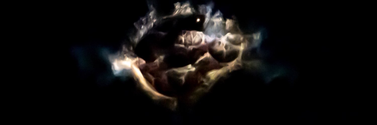 LopesMelina's profile banner image