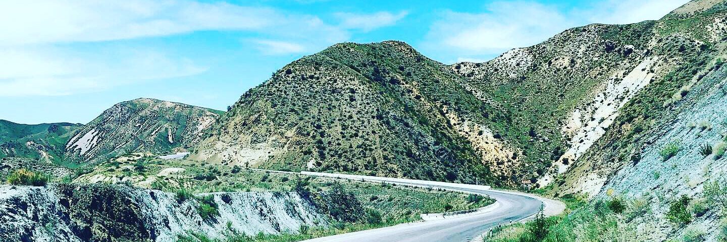 Johnny Motley banner