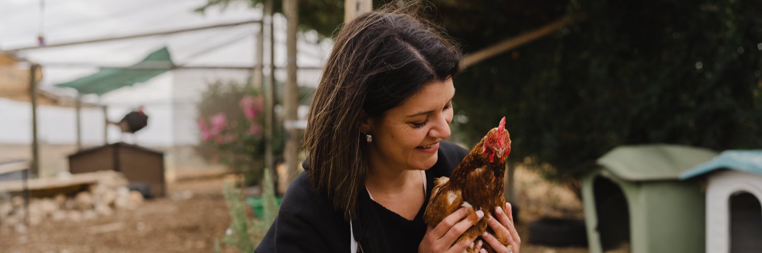 Louise Pfeiffer banner