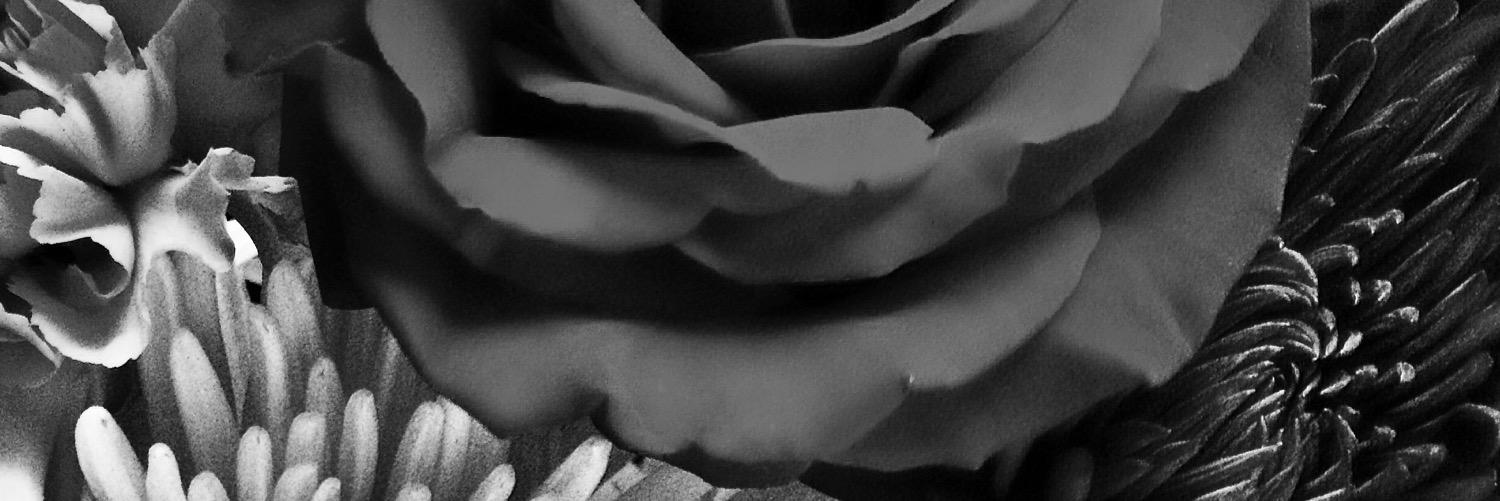 SyrahBeth's profile banner image