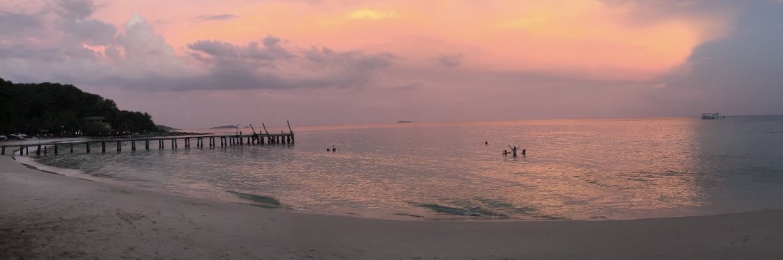 Chris Davis / Kayson banner