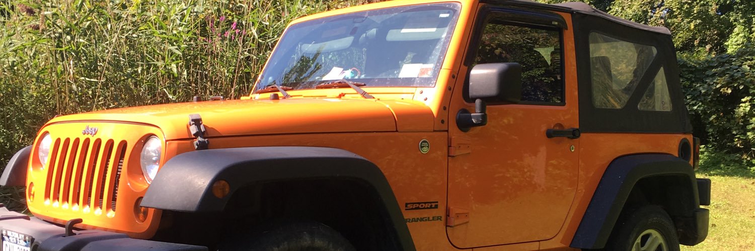 Lynne Rosenquist banner