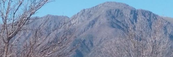 cintufuse01's profile banner image