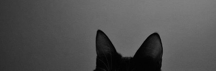 whoisveronica's profile banner image