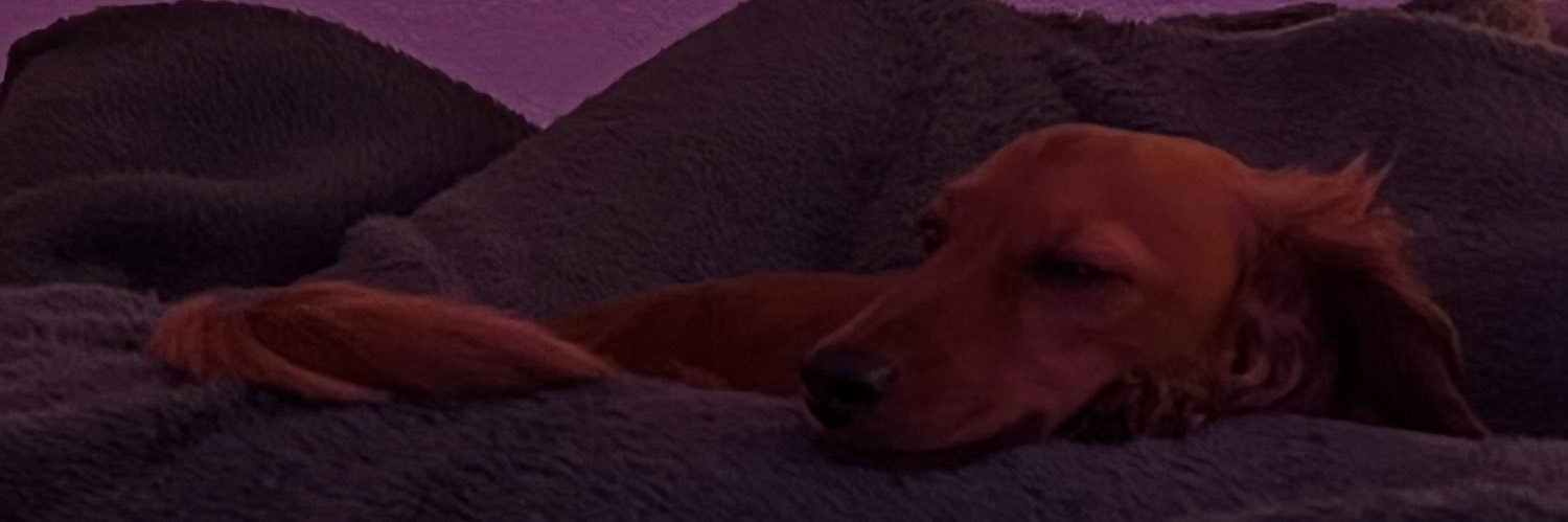 yeahiguessman's profile banner image