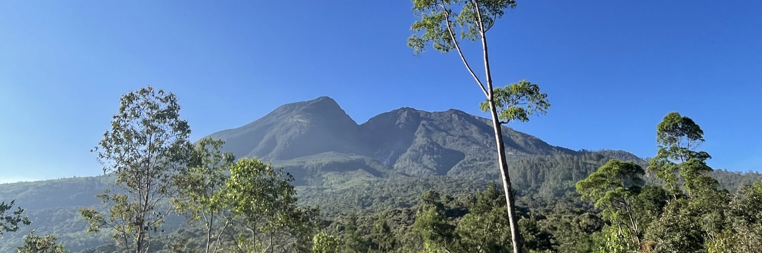 mutiau's profile banner image