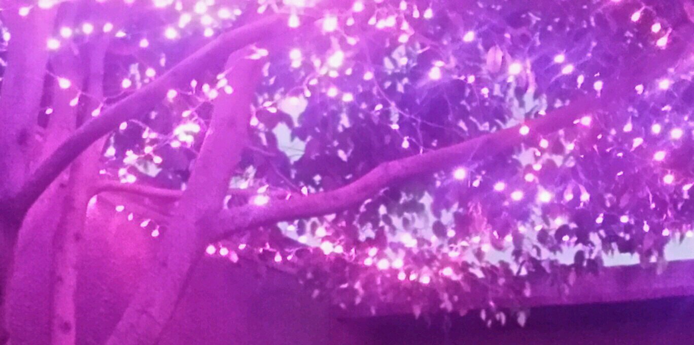 AleCas01's profile banner image