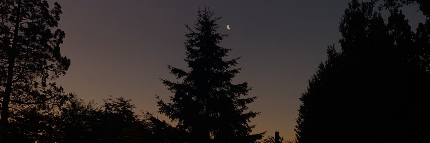 CamiLebermann's profile banner image