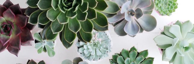 IsabelMarie_e's profile banner image