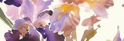 Eleiira's profile banner image