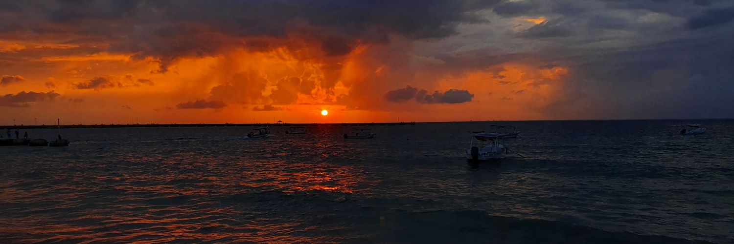 efralfaro's profile banner image