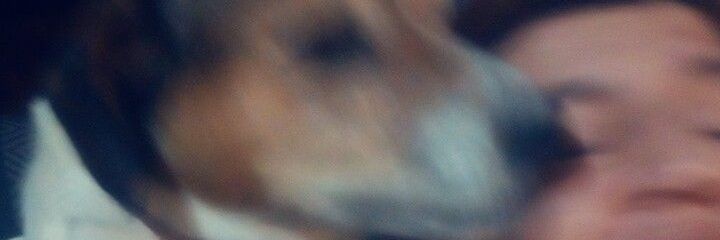 RattaAtack's profile banner image