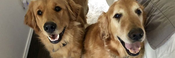 KlocknessMonsta Profile Banner