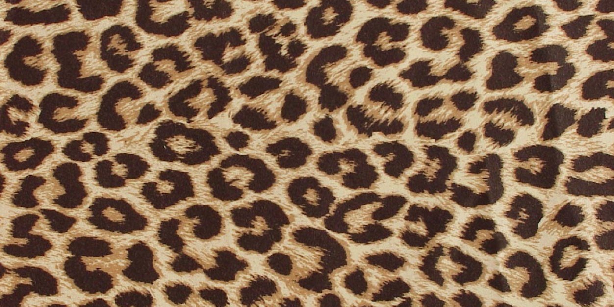 wakeupxx's profile banner image