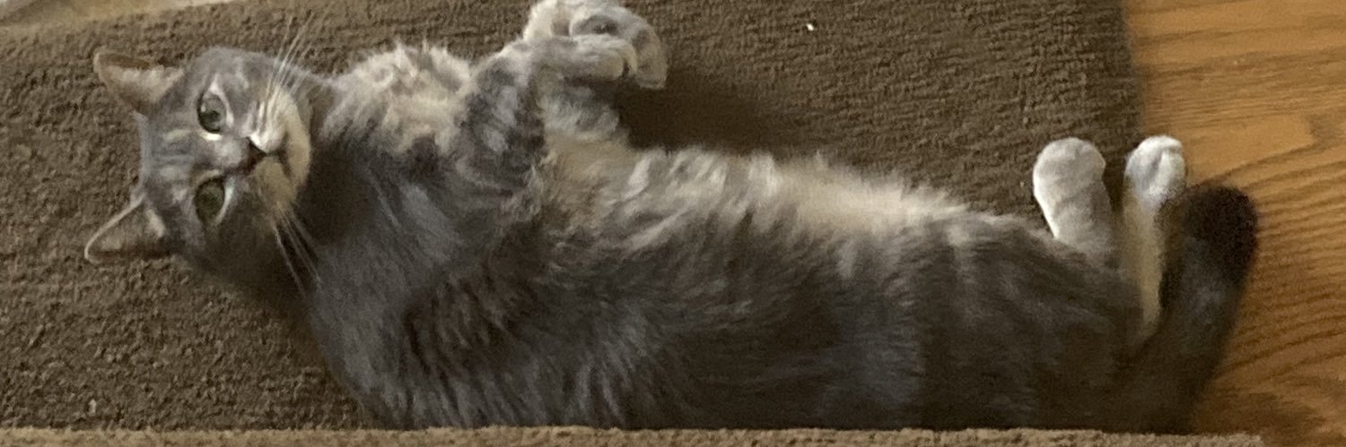 nice jewish guy banner