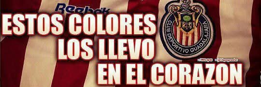 _aleceja_'s profile banner image