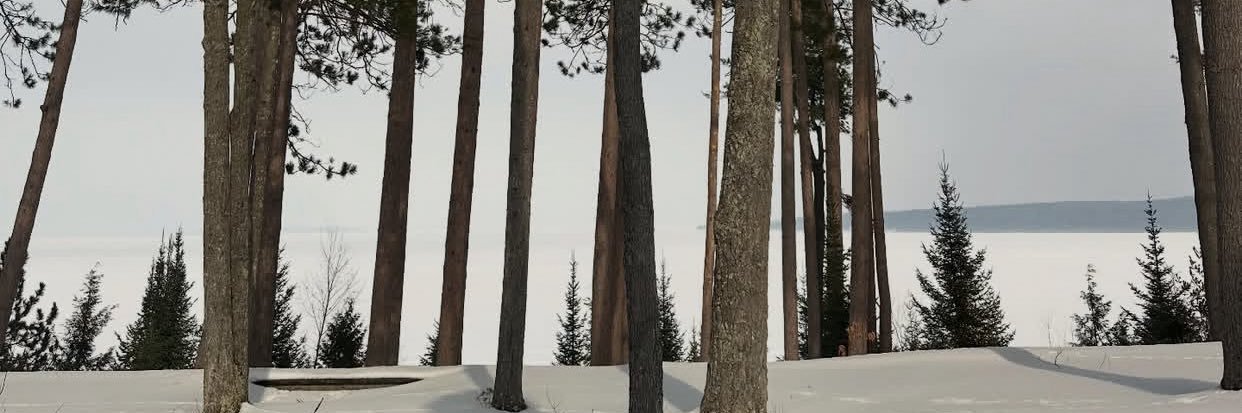 ava_williams77's profile banner image