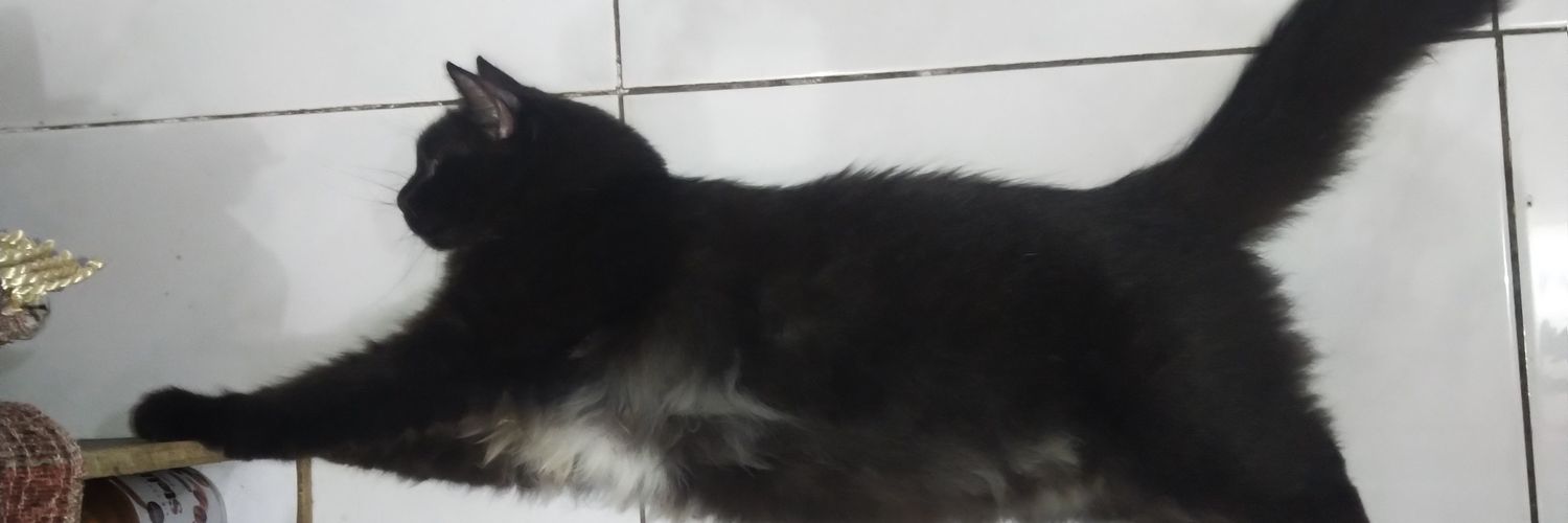 Nan_San's profile banner image