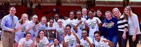 LadyComets Profile Banner