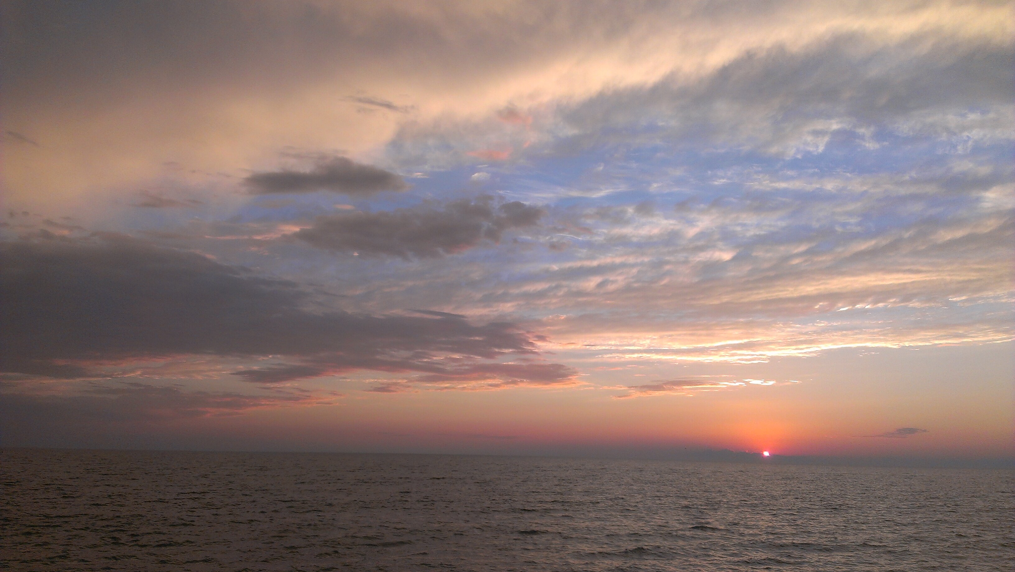 Amanda Everett banner