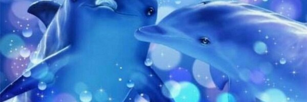 talkdan Profile Banner