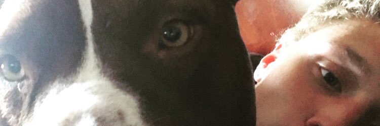 AndrewCraner's profile banner image
