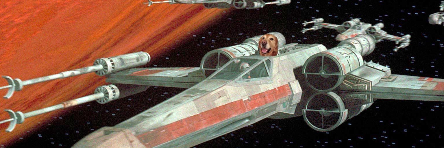 astafish.bsky.social banner