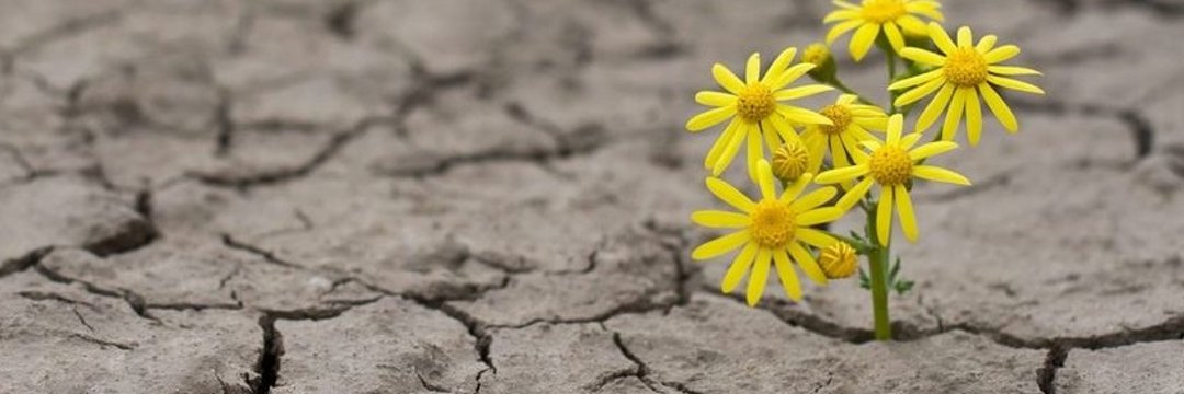 ____Vinay_____'s profile banner image