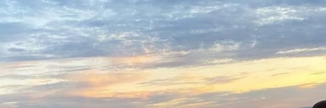 Sharondenys's profile banner image
