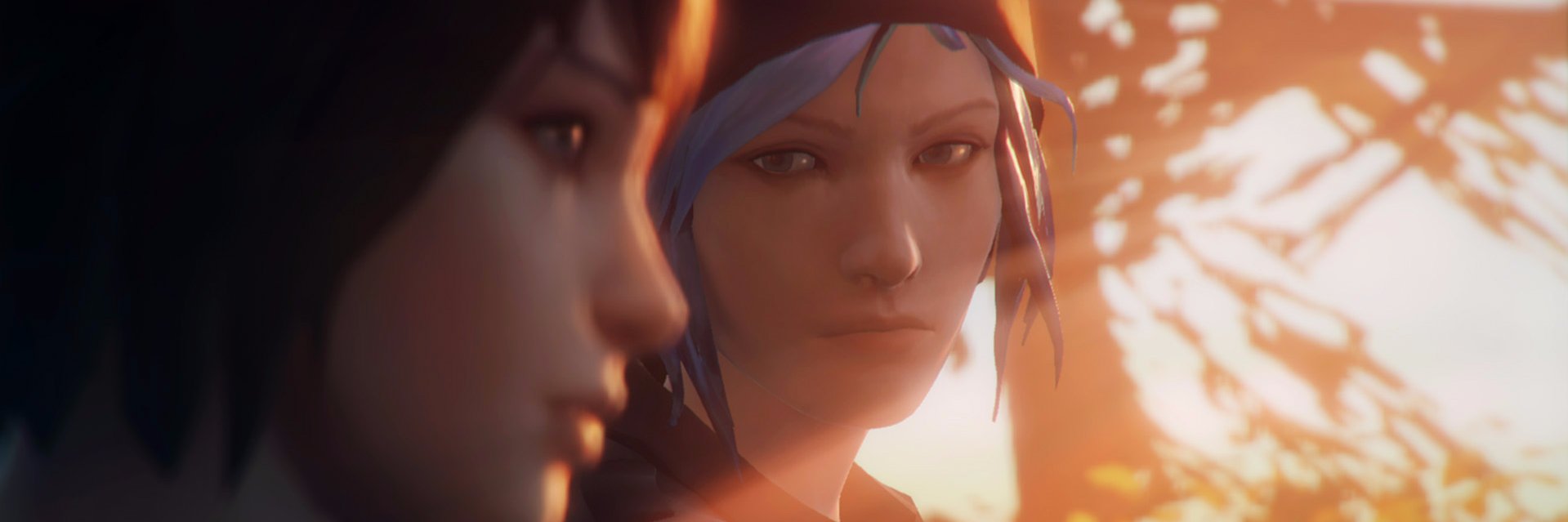 digtaroo's profile banner image