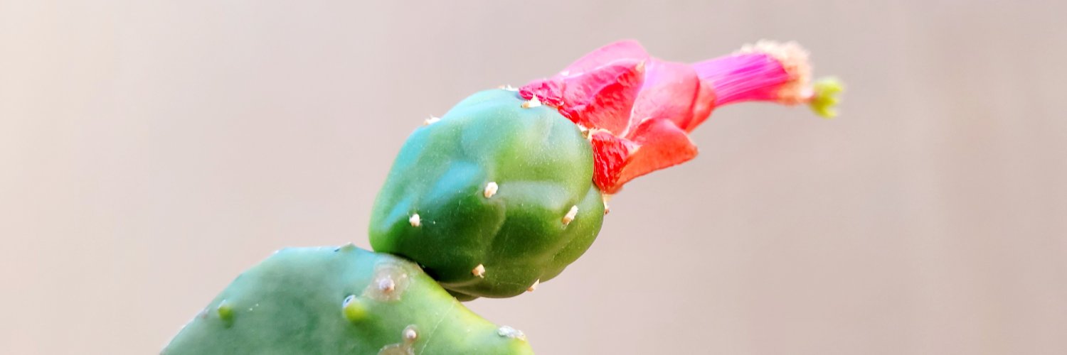 Robert_CMallen's profile banner image