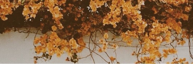 marchz131's profile banner image