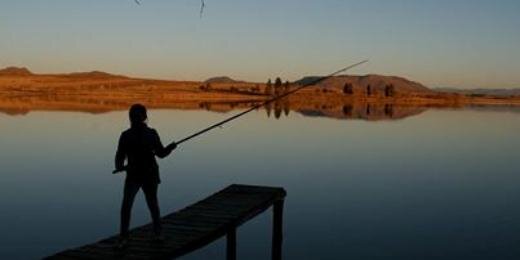 Marleen Smith banner