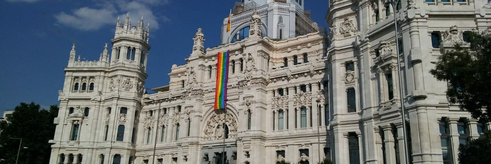 David Jiménez Guzmán banner