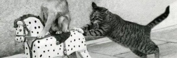 light_night Profile Banner