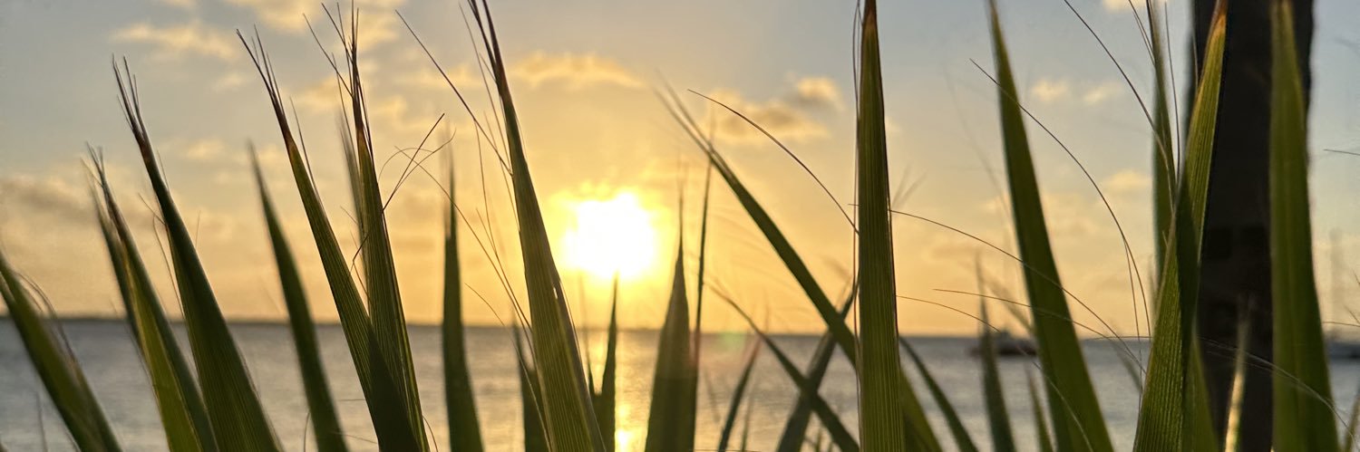 Brittvasile's profile banner image