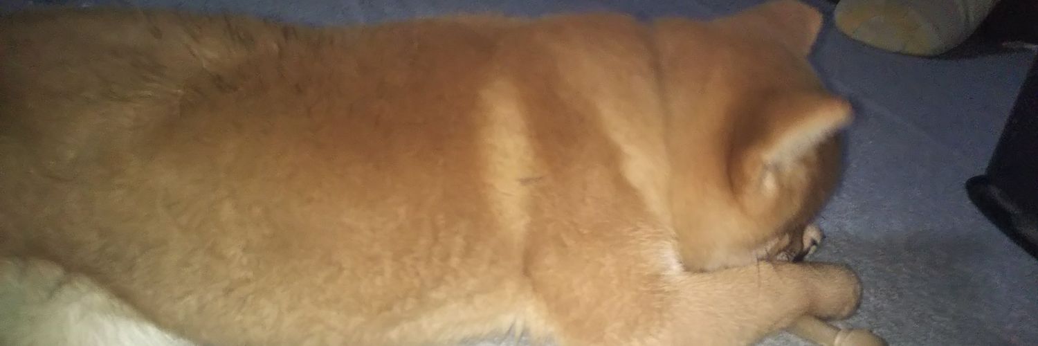 j_d_knowledge's profile banner image