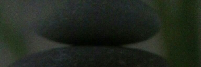 Silvia SCD banner