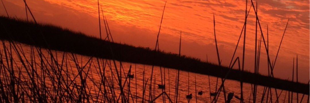 shawnjamison3's profile banner image